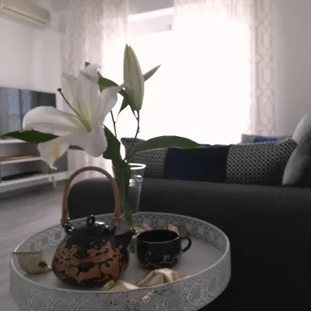 Beachfront Modern And Spacious