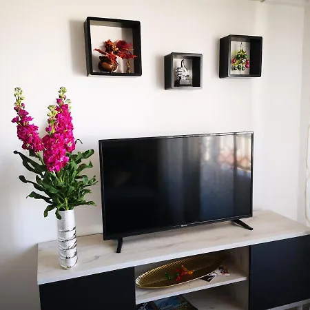 Beachfront Modern And Spacious *