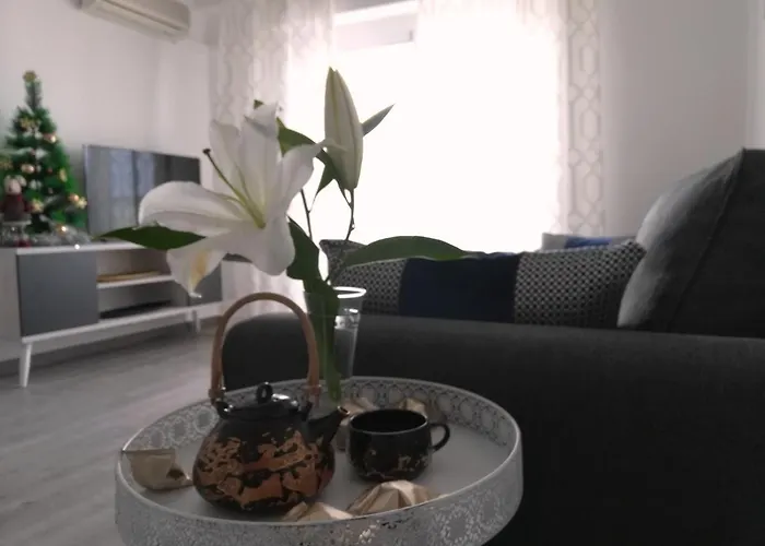 Beachfront Modern And Spacious